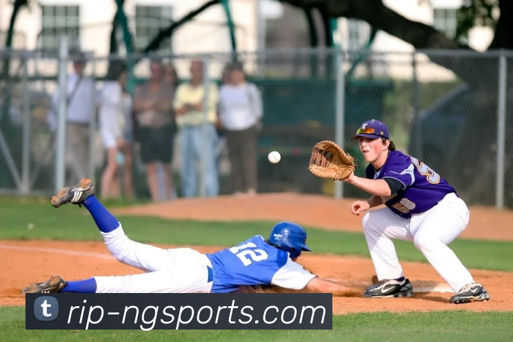 ng娱乐下载服务体系